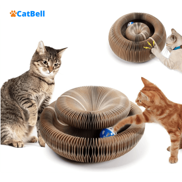 Brinquedo Para Gatos I Cat Bell +1 Bolinha de Brinde🎁